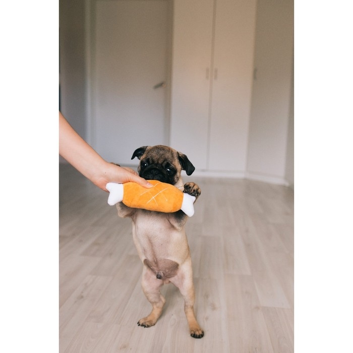 Игрушка для собак Игрушка для собак "Мягкая косточка" с пищалкой, 19 см, коричневая