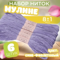 Набор ниток мулине №155, 8 ± 1 м, 6 шт, цвет сине-фиолетовый