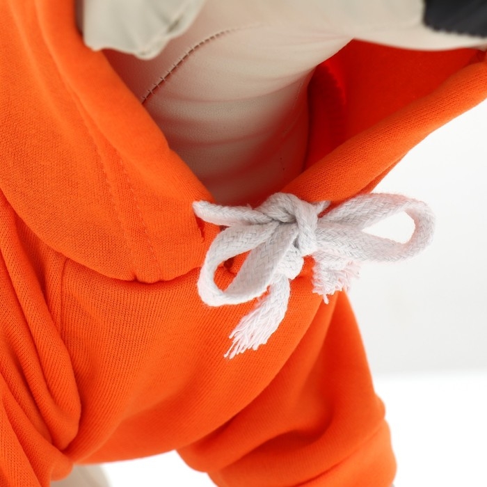 Толстовка Толстовка "Любимая морковка", размер S (ДС 25, ОГ 38см)