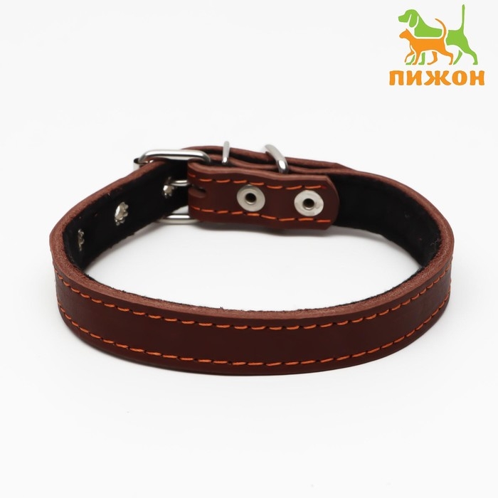 Ошейник кожаный на синтепоне, 45 х 2 см, ОШ 25-35 см, коричневый Ошейник кожаный на синтепоне, 45 х 2 см, ОШ 25-35 см, коричневый