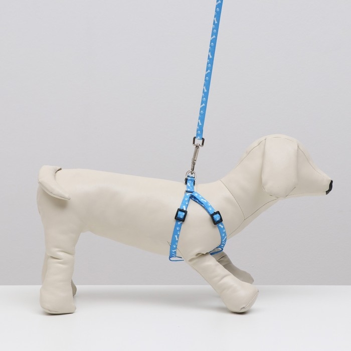 Комплект Комплект "Классика", капрон, поводок 120 х 1 см, ОГ 21-35 см, голубой