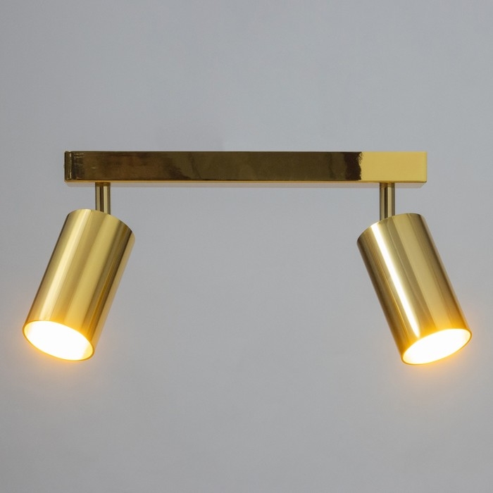 Спот Спот "Этнес" 2хGU10 золото 29,5х6,5х16,5 см