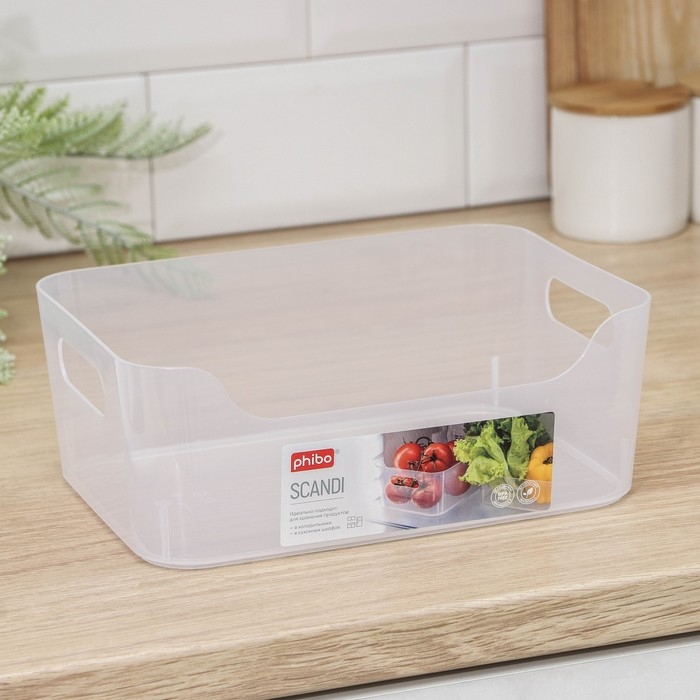Корзина для хранения Scandi, 3,1 л, 24×17×9 см, цвет прозрачный Корзина для хранения Scandi, 3,1 л, 24×17×9 см, цвет прозрачный
