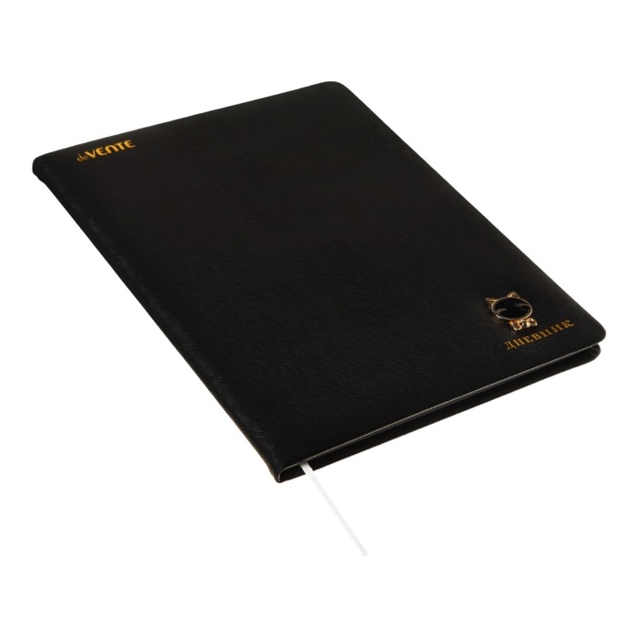 Дневник универсальный для 1-11 класса Kitty, твёрдая обложка, искусственная кожа, с поролоном, тиснение фольгой, ляссе, 80 г/м2