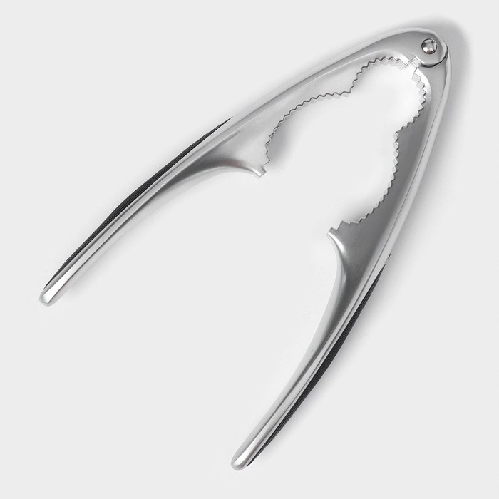 Орехокол Veil, цвет серый Орехокол Veil, цвет серый