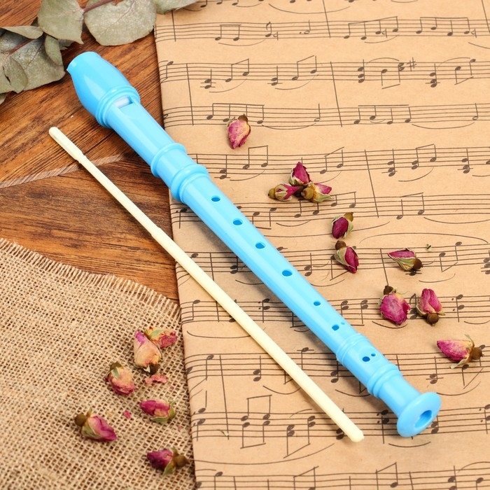 Блокфлейта Music Life, голубая, немецкая система, сопрано, 30 см Блокфлейта Music Life, голубая, немецкая система, сопрано, 30 см