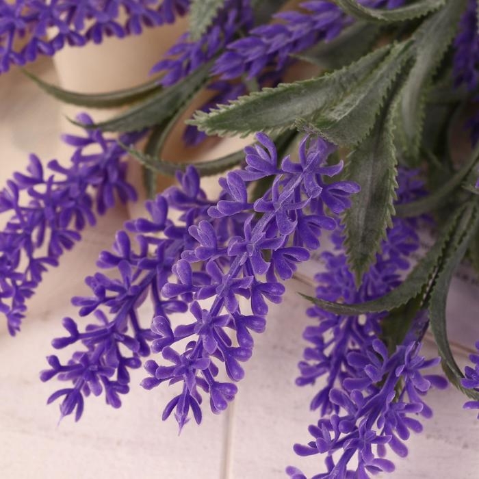 Букет Букет "Вероника колосистая" 38 см