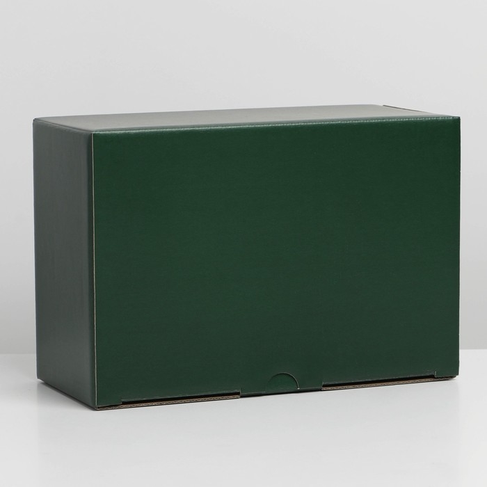 Коробка подарочная складная, упаковка, «Зелёная», 22 х 15 х 10 см Коробка подарочная складная, упаковка, «Зелёная», 22 х 15 х 10 см