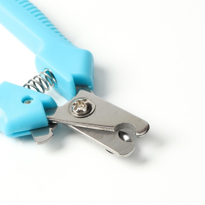 Когтерез боковой малый с прямыми ручками, отверстие 9 мм, голубой Когтерез боковой малый с прямыми ручками, отверстие 9 мм, голубой