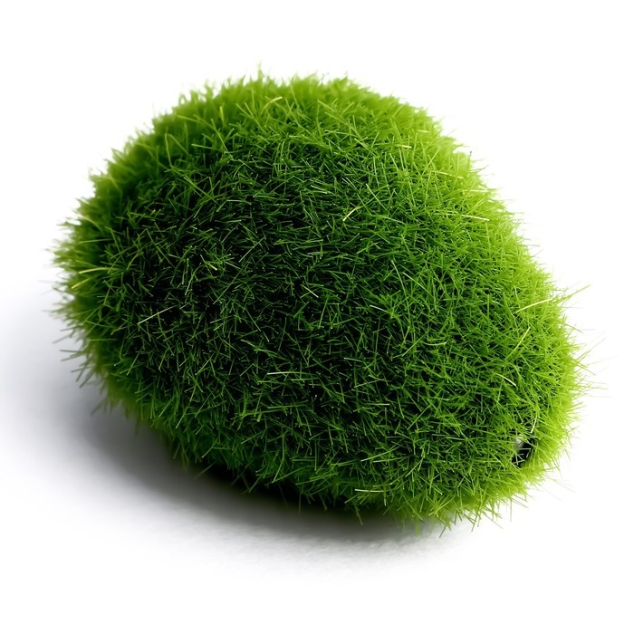 Основа для творчества «Камень со мхом» набор 4 шт., размер 1 шт. — 5 × 1,5 × 3 см Основа для творчества «Камень со мхом» набор 4 шт., размер 1 шт. — 5 × 1,5 × 3 см