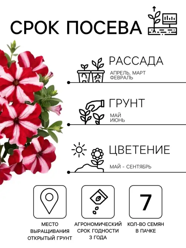 Семена цветов Петуния &laquo;Фристайл&raquo; кнайт стар, F1, 7 шт., &laquo;АЭЛИТА&raquo;