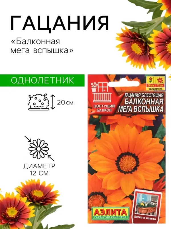 Семена Гацания &laquo;Балконная&raquo;, для балкона, веранды, цветника, однолетник, низкорослая4 шт.