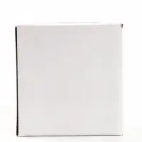 Фигурка &laquo;Котёнок листает книгу&raquo;, 10&times;7.2&times;10.5 см