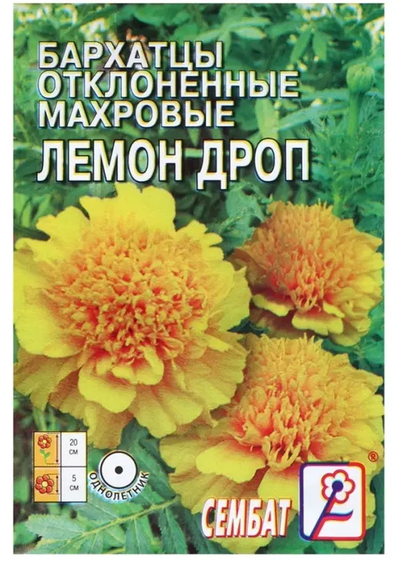 Семена цветов Бархатцы отклоненные   Семена цветов Бархатцы отклоненные  "Лемон Дроп", махровые,  0,2 г