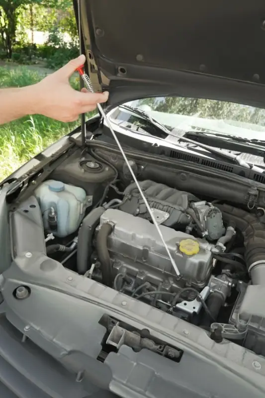 Захват четырехлапый L-600мм, AVS PD-600