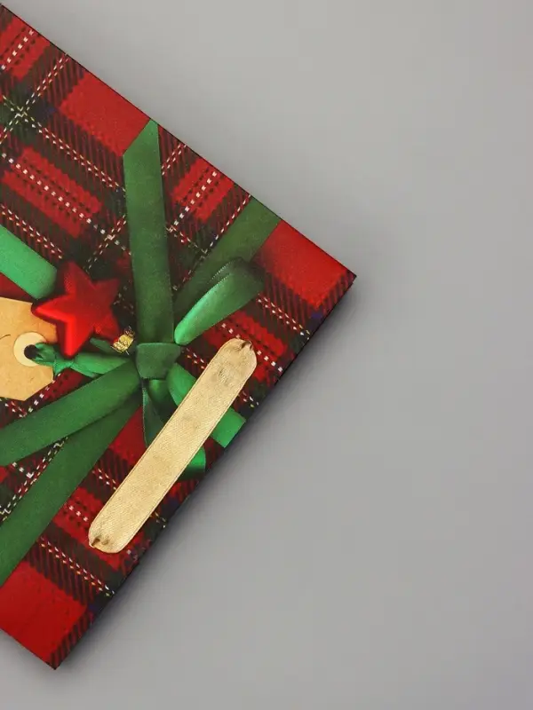 Пакет подарочный ламинированный Пакет подарочный ламинированный "Подарок", 18 х 23 х 10 см