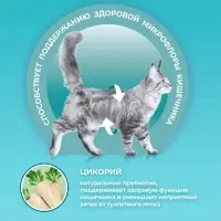 Сухой корм Purina One для домашних кошек, индейка/злаки, 3 кг