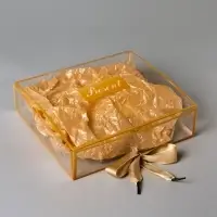 Коробка подарочная пластиковая с тишью и гирляндой Present, 20&times;18&times;5 см