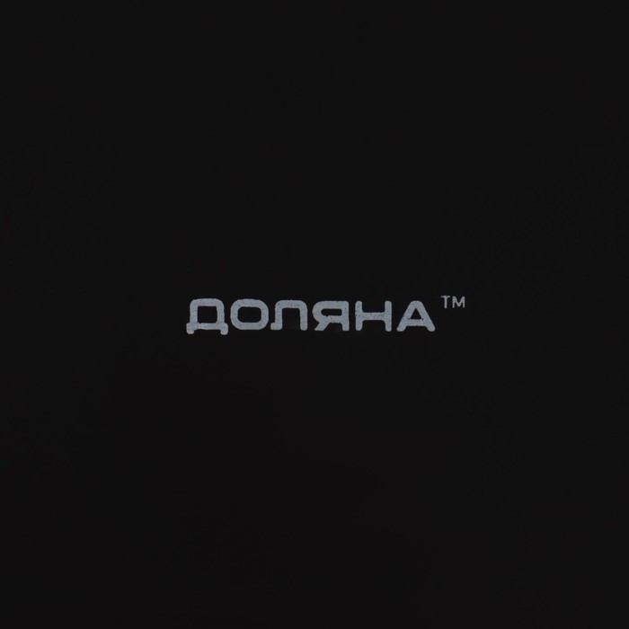 Тарелка керамическая обеденная Доляна «Ваниль», d=27 см, цвет чёрный Тарелка керамическая обеденная Доляна «Ваниль», d=27 см, цвет чёрный