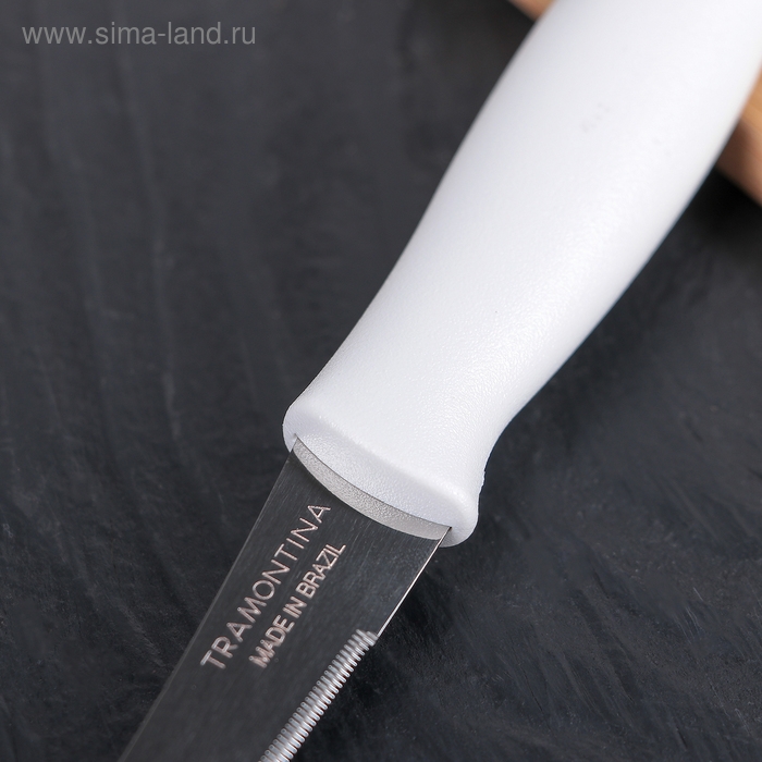 Нож кухонный для помидоров/цитрусовых Athus, лезвие 12,5 см, сталь AISI 420 Нож кухонный для помидоров/цитрусовых Athus, лезвие 12,5 см, сталь AISI 420