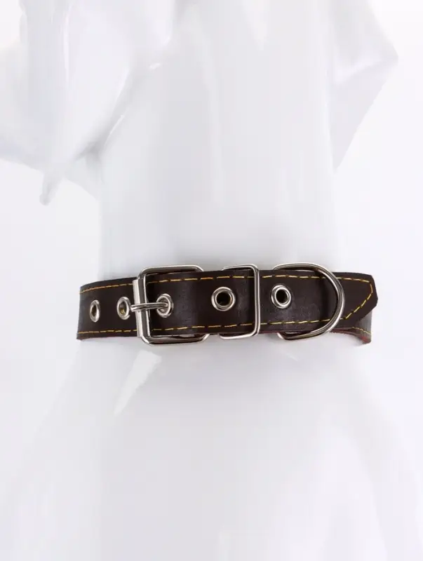 Ошейник &laquo;Красотка&raquo;, 60&times;2.5 см, однослойный, тиснение фольгой, кожа, цвет МИКС