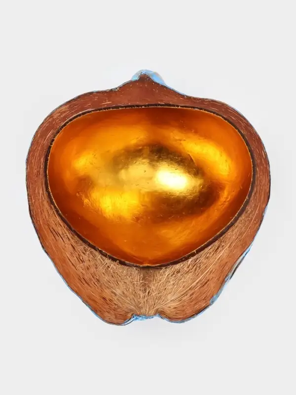 Чаша из кокоса, 22&times;19&times;10 см, сине-золотая