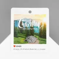 Брошь &laquo;Ёжик&raquo; счастье, цвет серебра