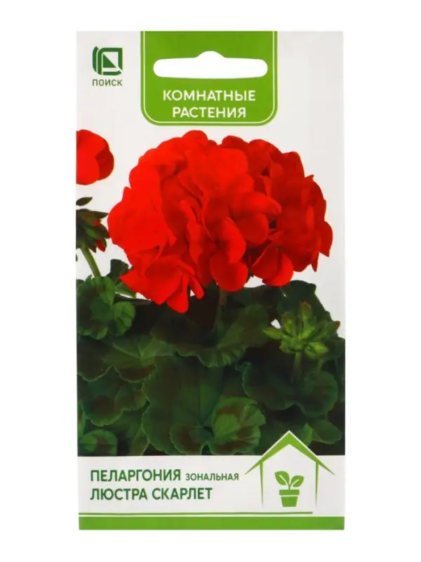 Семена цветов Пеларгония зональная &laquo;Люстра Скарлет&raquo;, 5 шт., &laquo;ПОИСК&raquo;