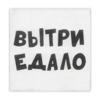 Салфетки бумажные однослойные &laquo;ВыТрИ ЕдАлО&raquo;, 24&times;24 см, 20 шт.