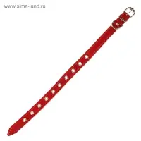 Ошейник кожаный однослойный безразмерный, 45&times;2 см, ОШ 18-39 см, красный