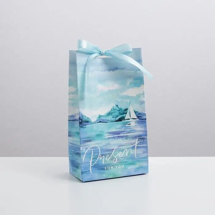 Пакет подарочный с лентой, упаковка, «Present for you», 13 х 23 х 7 см Пакет подарочный с лентой, упаковка, «Present for you», 13 х 23 х 7 см