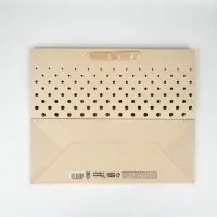 Подарочный пакет с шильдом Present, 49 &times; 40 &times; 19 см