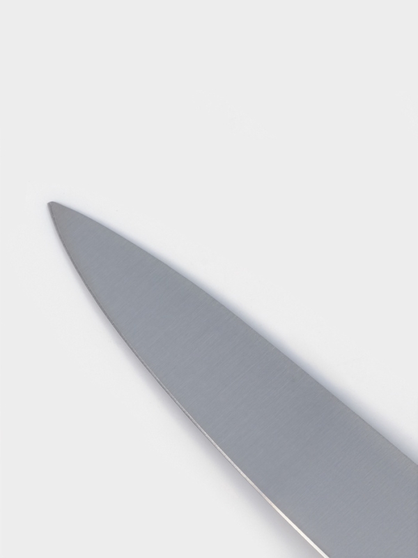 Нож кухонный Доляна Venus, разделочный, лезвие 21 см, нержавеющая сталь, красный Нож кухонный Доляна Venus, разделочный, лезвие 21 см, нержавеющая сталь, красный