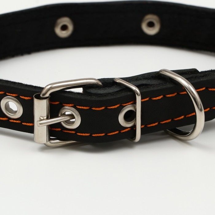 Ошейник кожаный светоотражающий на синтепоне бабочка, 45 х 2 см, ОШ 25-35 см, чёрный Ошейник кожаный светоотражающий на синтепоне бабочка, 45 х 2 см, ОШ 25-35 см, чёрный