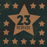 Бумага упаковочная крафт &laquo;Звёзды 23 февраля&raquo;, 50&times;70 см