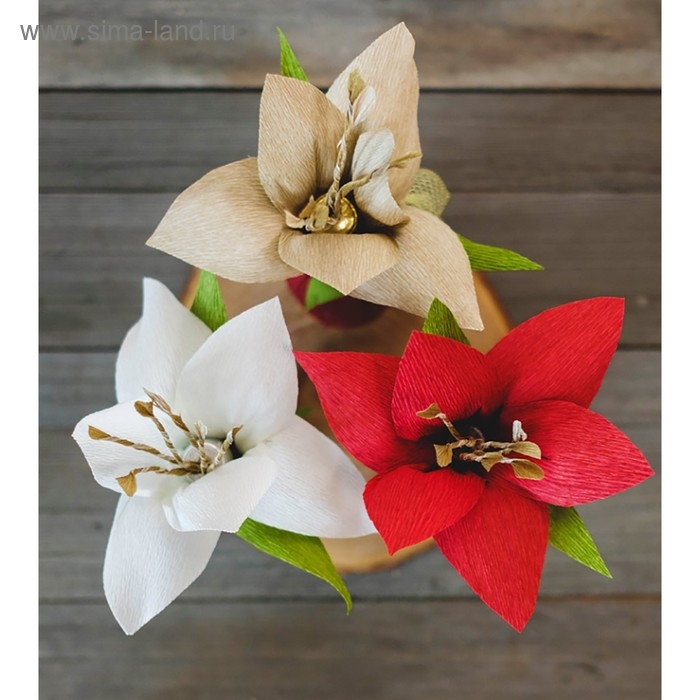 Бумага гофрированная, 589  Бумага гофрированная, 589 "Алый красный, 0,5 х 2,5 м