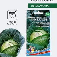 Семена Капуста белокочанная &laquo;Чудо на Засол&raquo;, F1, 0.3 г, &laquo;Уральский дачник&raquo;