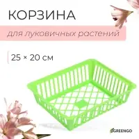 Корзина для луковичных, квадратная, 25×20 см, зелёная, Greengo