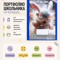 Папка-портфолио А4, Calligrata &laquo;Гонщик&raquo;, пластиковая, на 2 кольцах, без вкладышей
