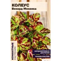 Набор семян цветов Колеус