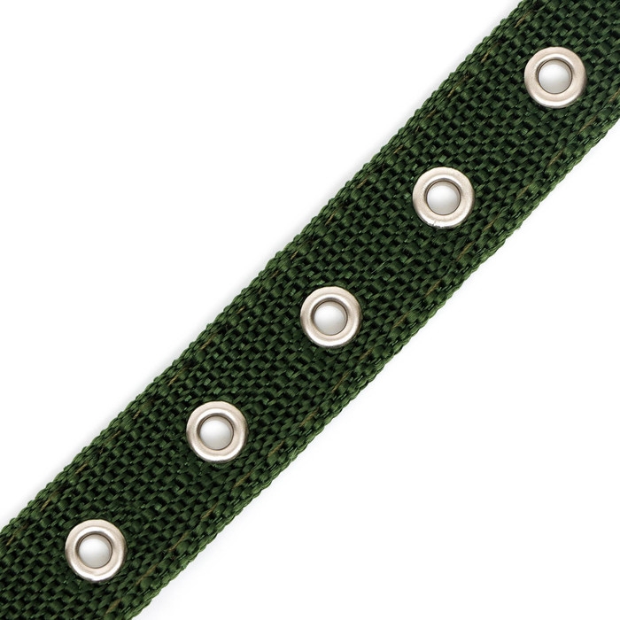 Ошейник двухслойный с вертлюгом, 2,5 см, зелёный Ошейник двухслойный с вертлюгом, 2,5 см, зелёный