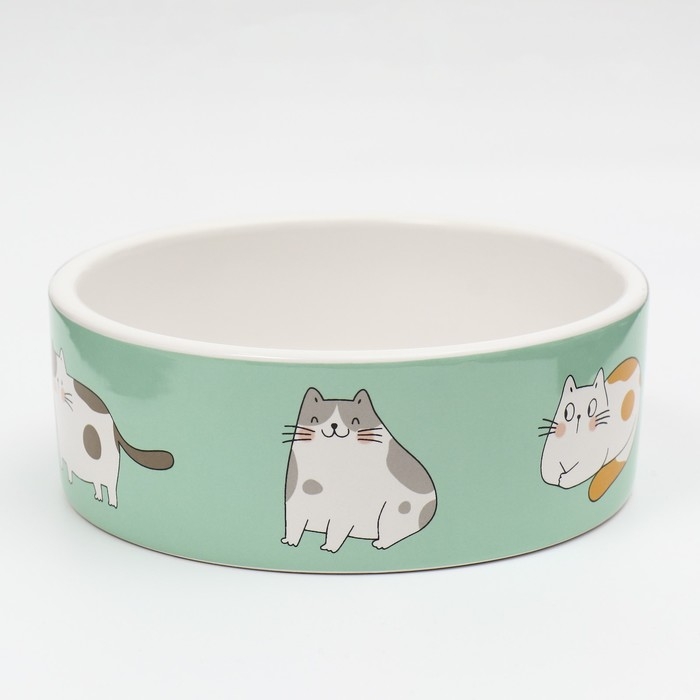 Миска керамическая  Миска керамическая "Котяры" 300 мл  12,5 x 4,5 cм, бело-зелёная