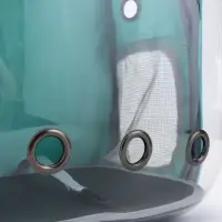 Рюкзак для переноски животных прозрачный, 31 х 28 х 42 см, бирюзовый Рюкзак для переноски животных прозрачный, 31 х 28 х 42 см, бирюзовый