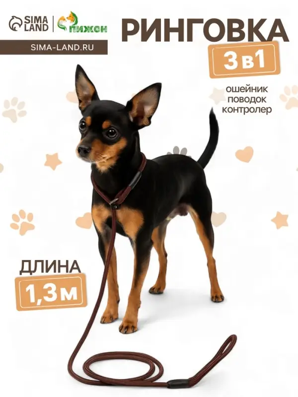 Ринговка для собак, 130&times;0.6 см, коричневая