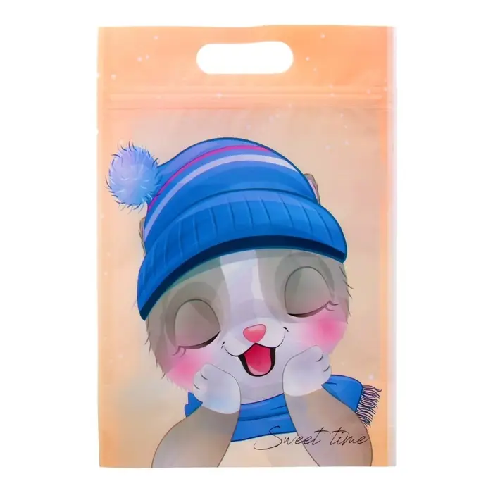 Пакет подарочный, с zip-lock застежкой,  Пакет подарочный, с zip-lock застежкой, "Зимние котята", 15х22см.