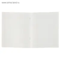 Тетрадь 48 листов в линейку Calligrata «Мегаполис», обложка мелованная бумага, блок №2, белизна 75% (серые листы), МИКС Тетрадь 48 листов в линейку Calligrata «Мегаполис», обложка мелованная бумага, блок №2, белизна 75% (серые листы), МИКС