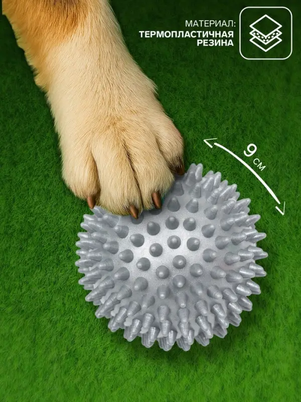 Игрушка для собак &laquo;Мяч массажный&raquo;, 9 см, пластикат, цвет МИКС