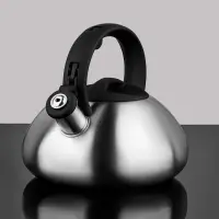 VETTA Чайник стальной 2.3л матовый, индукция