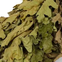 Веник для бани, дубовый, в пакете