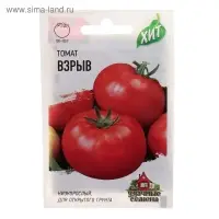 Семена Томат балконный «Взрыв», раннеспелый, детерминантный, 0.05 г, «ХИТ-Гавриш» Семена Томат балконный «Взрыв», раннеспелый, детерминантный, 0.05 г, «ХИТ-Гавриш»